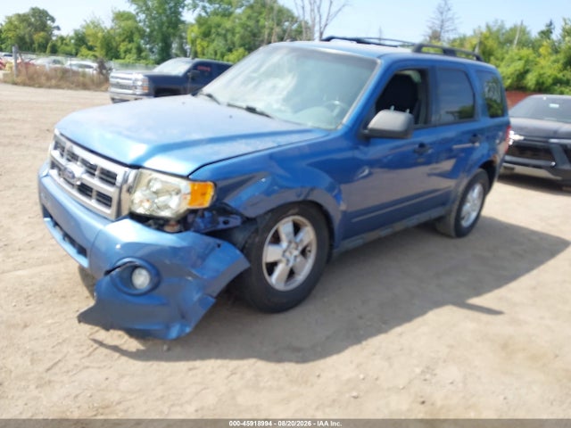 Продаж на аукціоні авто 2010 Ford Escape Xlt, vin: 1FMCU0D72AKC68221, номер лоту: 45918994