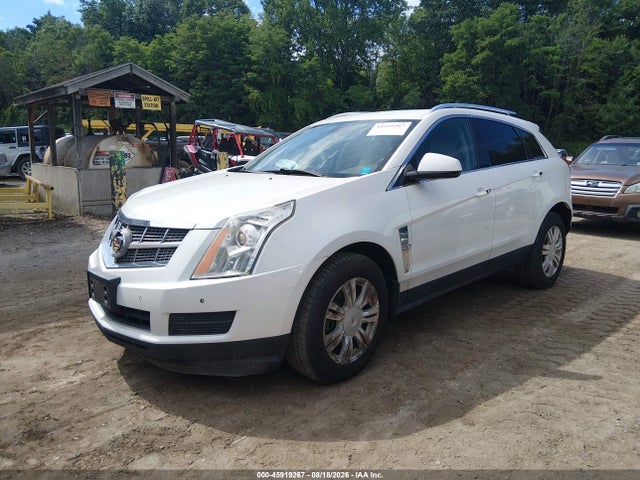Продажа на аукционе авто 2012 Cadillac Srx Luxury Collection, vin: 3GYFNDE35CS533541, номер лота: 45919267