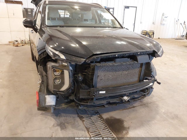 Hyundai Palisade Limited 2020 KM8R5DHE8LU101179 Image 6