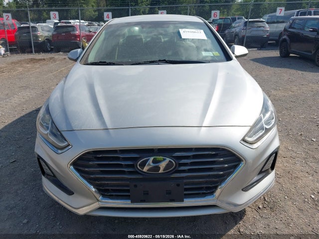 Продажа на аукционе авто 2019 Hyundai Sonata Se, vin: 5NPE24AF9KH798370, номер лота: 45920622
