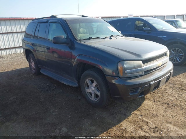 Aukcja sprzedaży 2006 Chevrolet Trailblazer Ls, vin: 1GNDT13S862313135, numer aukcji: 45921025
