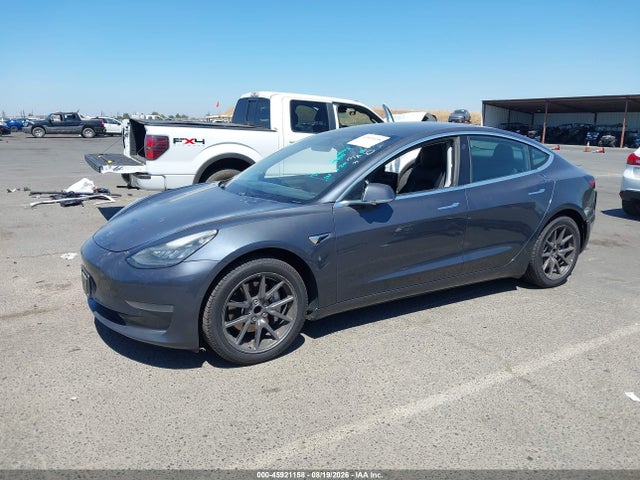 Продаж на аукціоні авто 2019 Tesla Model 3 Long Range/mid Range/standard Range/standard Range Plus, vin: 5YJ3E1EA7KF447435, номер лоту: 45921158
