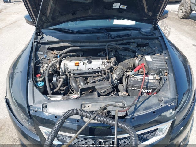 45921470 :رقم المزاد ، 1HGCS1B89AA008403 vin ، 2010 Honda Accord 2.4 Ex-l مزاد بيع