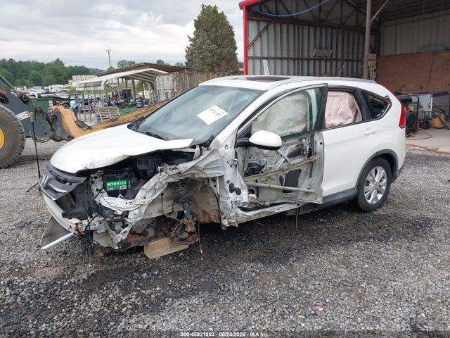 Honda Cr-v Ex-l 2014 5J6RM4H76EL061454 Image 2