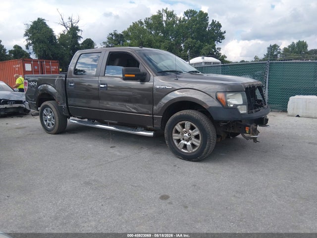 45923069 :رقم المزاد ، 1FTPW14V69KC26425 vin ، 2009 Ford F-150 Fx4/king Ranch/lariat/platinum/xl/xlt مزاد بيع