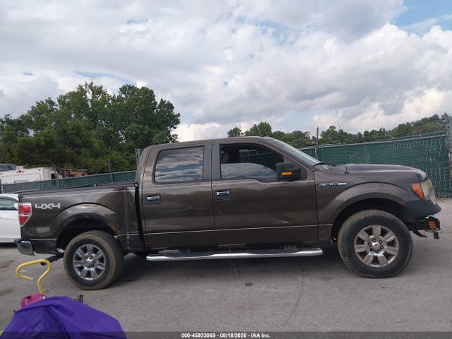 45923069 :رقم المزاد ، 1FTPW14V69KC26425 vin ، 2009 Ford F-150 Fx4/king Ranch/lariat/platinum/xl/xlt مزاد بيع