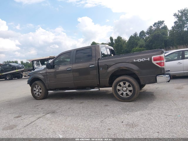 45923069 :رقم المزاد ، 1FTPW14V69KC26425 vin ، 2009 Ford F-150 Fx4/king Ranch/lariat/platinum/xl/xlt مزاد بيع