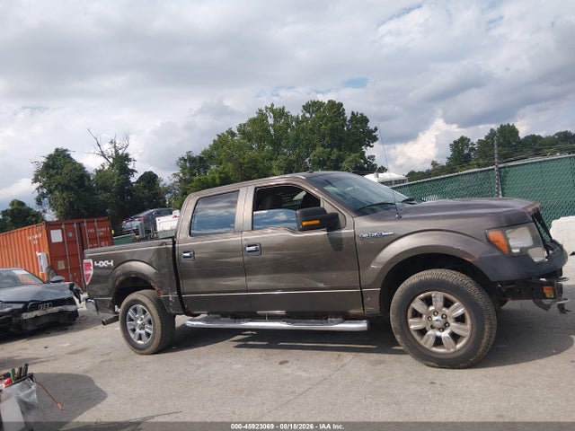 45923069 :رقم المزاد ، 1FTPW14V69KC26425 vin ، 2009 Ford F-150 Fx4/king Ranch/lariat/platinum/xl/xlt مزاد بيع