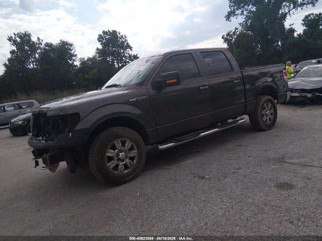 45923069 :رقم المزاد ، 1FTPW14V69KC26425 vin ، 2009 Ford F-150 Fx4/king Ranch/lariat/platinum/xl/xlt مزاد بيع