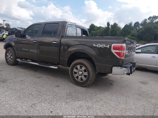 45923069 :رقم المزاد ، 1FTPW14V69KC26425 vin ، 2009 Ford F-150 Fx4/king Ranch/lariat/platinum/xl/xlt مزاد بيع