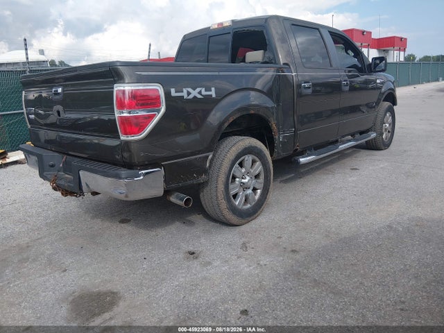 45923069 :رقم المزاد ، 1FTPW14V69KC26425 vin ، 2009 Ford F-150 Fx4/king Ranch/lariat/platinum/xl/xlt مزاد بيع