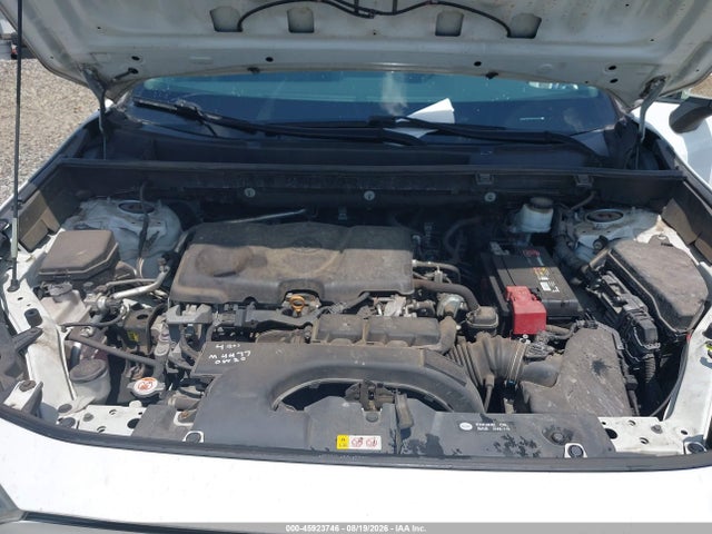45923746 :رقم المزاد ، 2T3P1RFV2KC026327 vin ، 2019 Toyota Rav4 Xle مزاد بيع