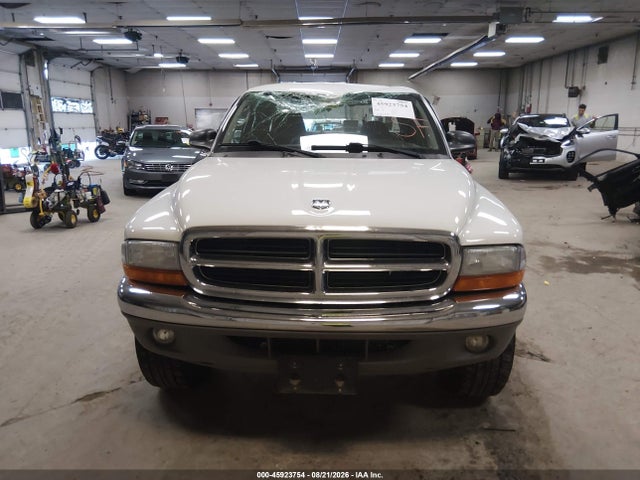 Продаж на аукціоні авто 2003 Dodge Dakota Slt, vin: 1D7HL42XX3S337995, номер лоту: 45923754
