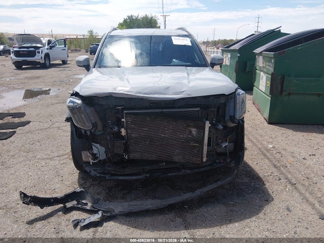 2023 Kia Telluride Ex X-line მანქანა იყიდება აუქციონზე, vin: 5XYP3DGC5PG410519, აუქციონის ნომერი: 45923816