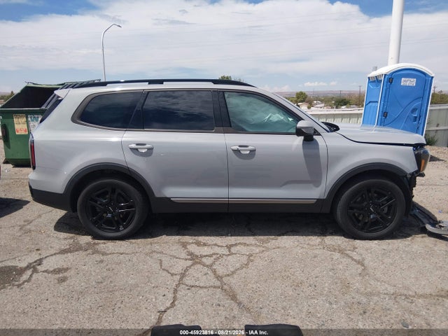 2023 Kia Telluride Ex X-line მანქანა იყიდება აუქციონზე, vin: 5XYP3DGC5PG410519, აუქციონის ნომერი: 45923816