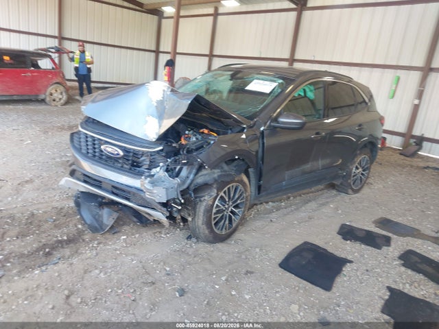 Продаж на аукціоні авто 2024 Ford Escape Phev, vin: 1FMCU0E17RUB54337, номер лоту: 45924018