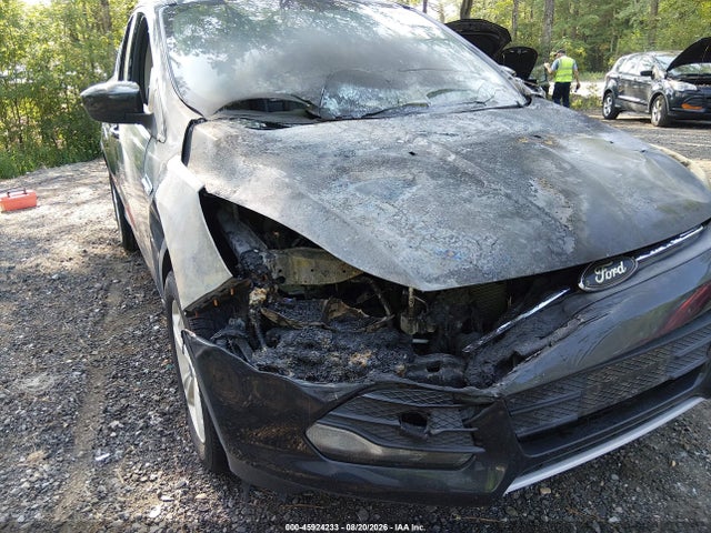 Продаж на аукціоні авто 2014 Ford Escape Se, vin: 1FMCU9GX0EUA26196, номер лоту: 45924233