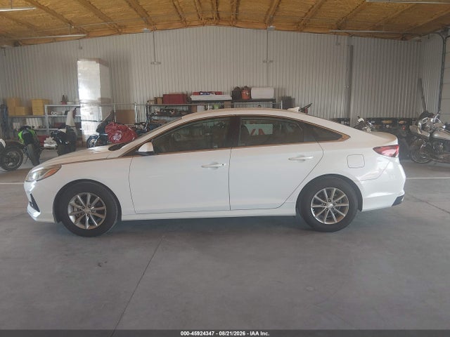 45924347 :رقم المزاد ، 5NPE24AAXJH682226 vin ، 2018 Hyundai Sonata Eco مزاد بيع