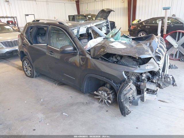 2019 1C4PJMLN1KD261725 головне зображення