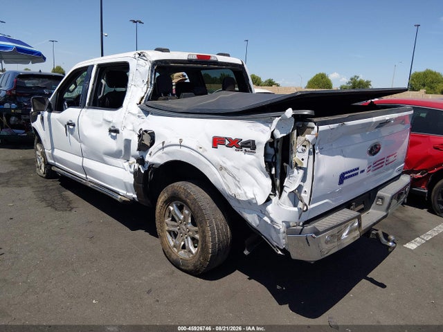 Auction sale of the 2021 Ford F-150 Xlt, vin: 1FTFW1E89MKD17315, lot number: 45926746