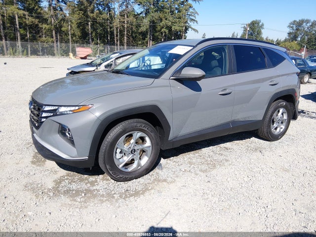 Продаж на аукціоні авто 2024 Hyundai Tucson Sel, vin: 5NMJBCDE2RH422144, номер лоту: 45926853