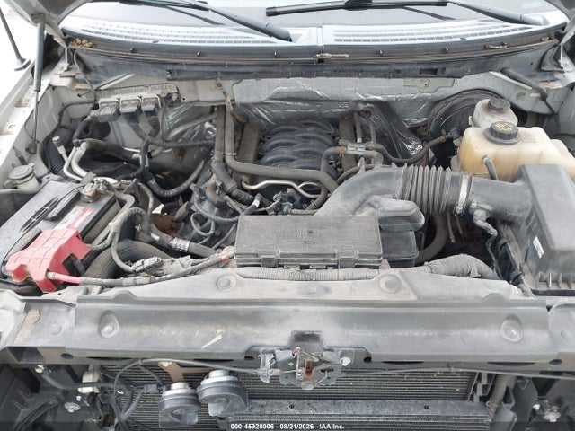 Продаж на аукціоні авто 2013 Ford F-150 Stx, vin: 1FTFX1CF9DKD59997, номер лоту: 45928006