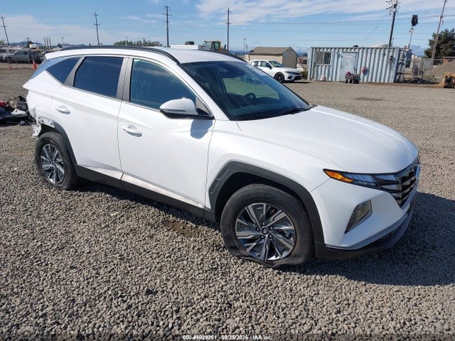 Auction sale of the 2022 Hyundai Tucson Hybrid Blue, vin: KM8JBCA12NU022374, lot number: 45929261