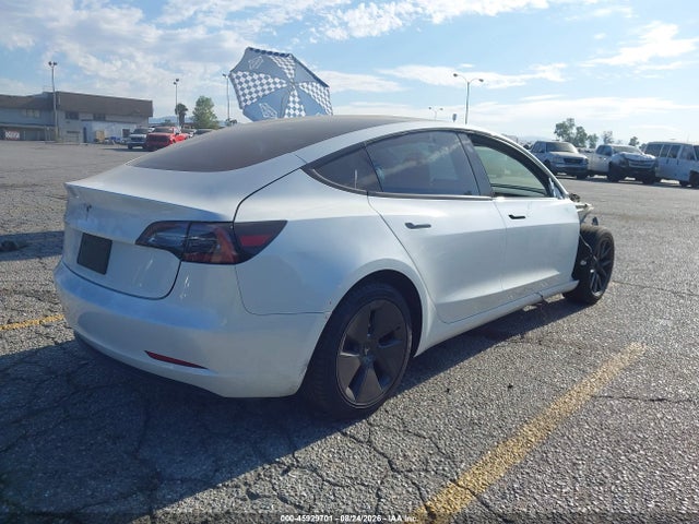 Auction sale of the 2023 Tesla Model 3 Rear-wheel Drive, vin: 5YJ3E1EA1PF494354, lot number: 45929701