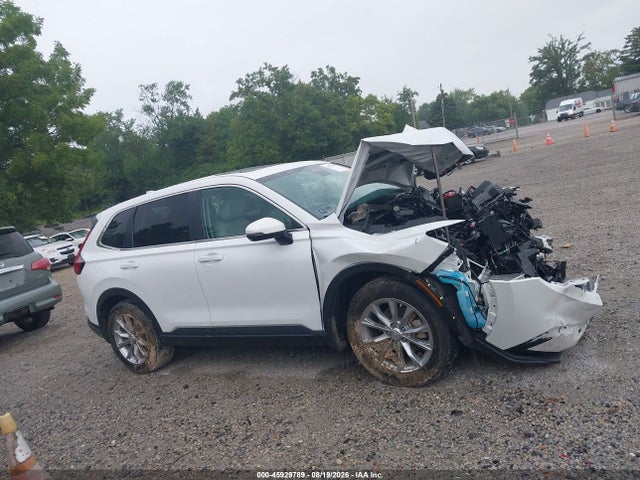 45929789 :رقم المزاد ، 2HKRS4H79PH416555 vin ، 2023 Honda Cr-v Ex-l Awd مزاد بيع