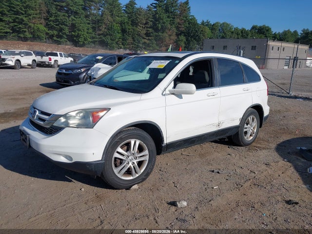 Продажа на аукционе авто 2010 Honda Cr-v Ex-l, vin: 5J6RE4H71AL059568, номер лота: 45929895