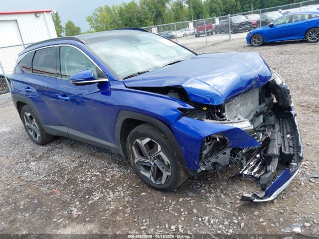 Продажа на аукционе авто 2024 Hyundai Tucson Limited, vin: 5NMJECDE1RH297547, номер лота: 45929919