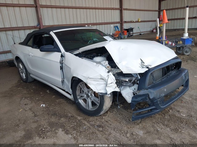 2013 Ford Mustang V6 მანქანა იყიდება აუქციონზე, vin: 1ZVBP8EMXD5221979, აუქციონის ნომერი: 45929968