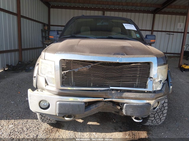 45930292 :رقم المزاد ، 1FTPW14VX9KC36133 vin ، 2009 Ford F-150 Fx4/king Ranch/lariat/platinum/xl/xlt مزاد بيع