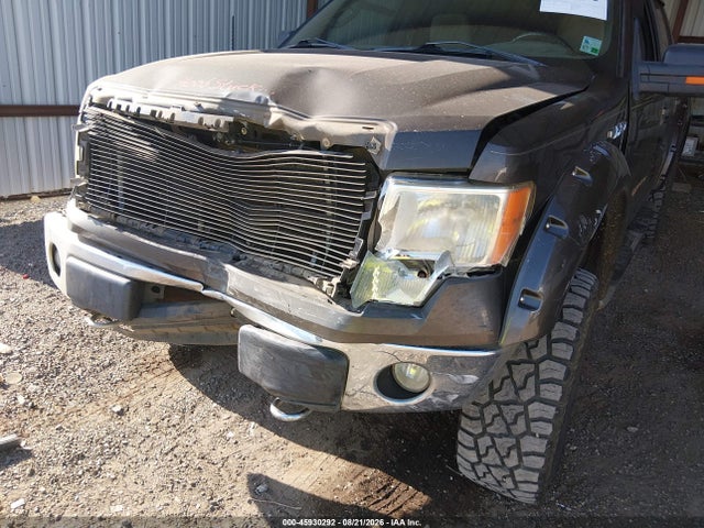 45930292 :رقم المزاد ، 1FTPW14VX9KC36133 vin ، 2009 Ford F-150 Fx4/king Ranch/lariat/platinum/xl/xlt مزاد بيع