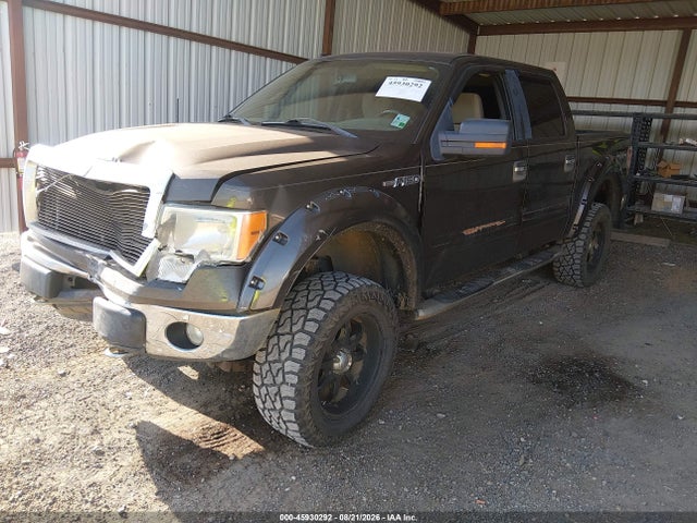 45930292 :رقم المزاد ، 1FTPW14VX9KC36133 vin ، 2009 Ford F-150 Fx4/king Ranch/lariat/platinum/xl/xlt مزاد بيع