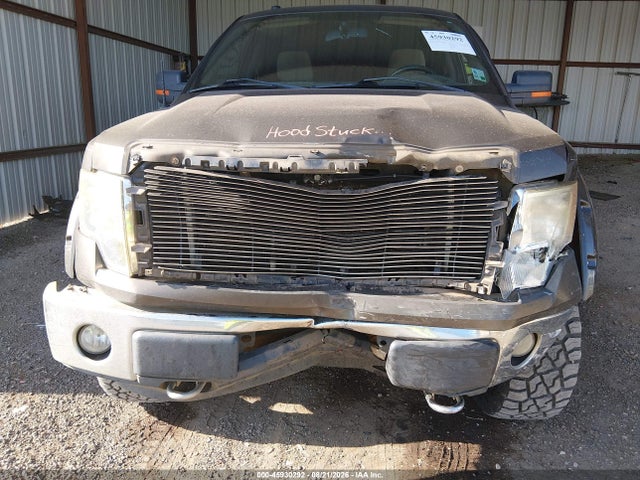 45930292 :رقم المزاد ، 1FTPW14VX9KC36133 vin ، 2009 Ford F-150 Fx4/king Ranch/lariat/platinum/xl/xlt مزاد بيع