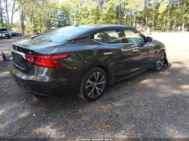45930744 :رقم المزاد ، 1N4AA6AP1HC379025 vin ، 2017 Nissan Maxima 3.5 Platinum/3.5 S/3.5 Sl/3.5 Sr/3.5 Sv مزاد بيع