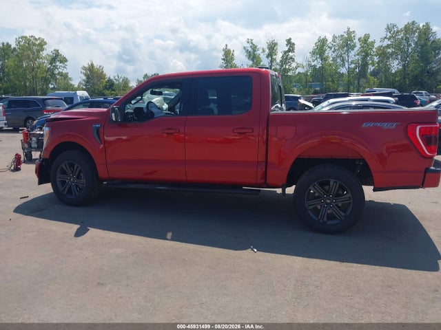 Продажа на аукционе авто 2023 Ford F150 Supercrew, vin: 1FTEW1EP1PKD75457, номер лота: 45931499