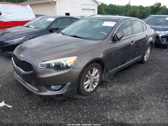Продаж на аукціоні авто 2014 Kia Cadenza Premium, vin: KNALN4D76E5135178, номер лоту: 45933866