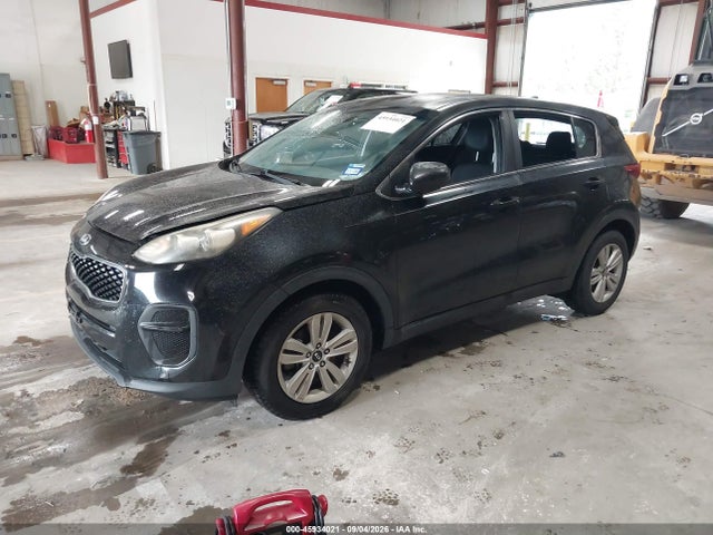 Продаж на аукціоні авто 2017 Kia Sportage Lx, vin: KNDPM3AC6H7077035, номер лоту: 45934021