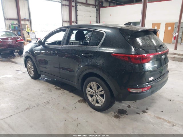 Продаж на аукціоні авто 2017 Kia Sportage Lx, vin: KNDPM3AC6H7077035, номер лоту: 45934021