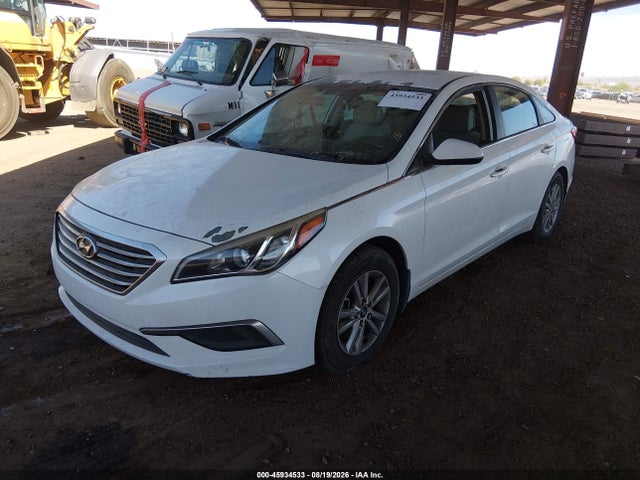 5NPE24AF9GH356339 Hyundai SONATA SE
