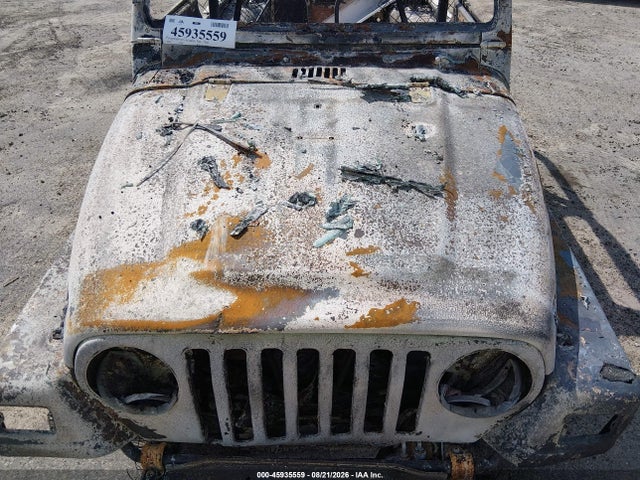 2004 Jeep Wrangler Sahara მანქანა იყიდება აუქციონზე, vin: 1J4FA59S24P738429, აუქციონის ნომერი: 45935559