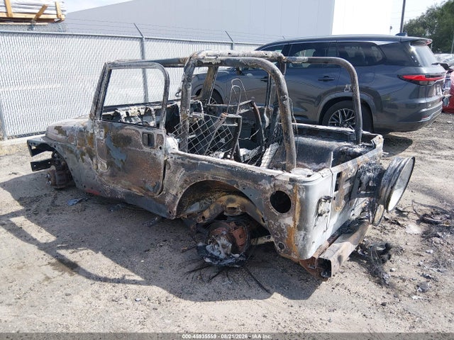 2004 Jeep Wrangler Sahara მანქანა იყიდება აუქციონზე, vin: 1J4FA59S24P738429, აუქციონის ნომერი: 45935559