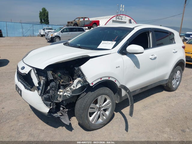 Auction sale of the 2019 Kia Sportage Lx, vin: KNDPMCAC1K7590118, lot number: 45937272