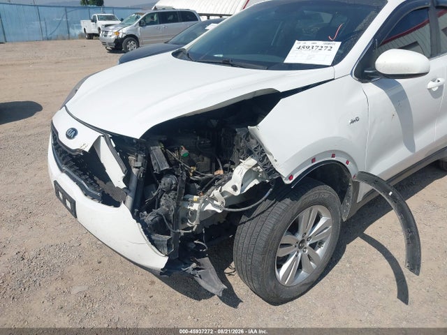Auction sale of the 2019 Kia Sportage Lx, vin: KNDPMCAC1K7590118, lot number: 45937272