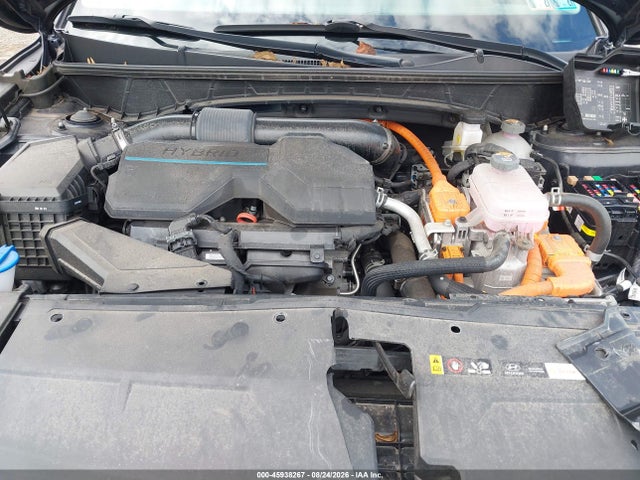 Hyundai Tucson Hybrid Blue 2024 KM8JBCD16RU207271 Image 10