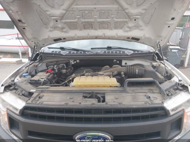 Продаж на аукціоні авто 2019 Ford F-150 Xl, vin: 1FTEX1CB4KKD77409, номер лоту: 45938697