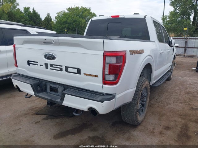 2023 Ford F-150 Tremor მანქანა იყიდება აუქციონზე, vin: 1FTEW1E83PFB07317, აუქციონის ნომერი: 45939558