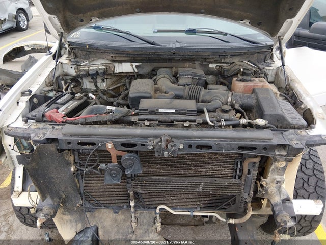 2010 Ford F-150 Xlt მანქანა იყიდება აუქციონზე, vin: 1FTFW1EV0AFB51924, აუქციონის ნომერი: 45940720